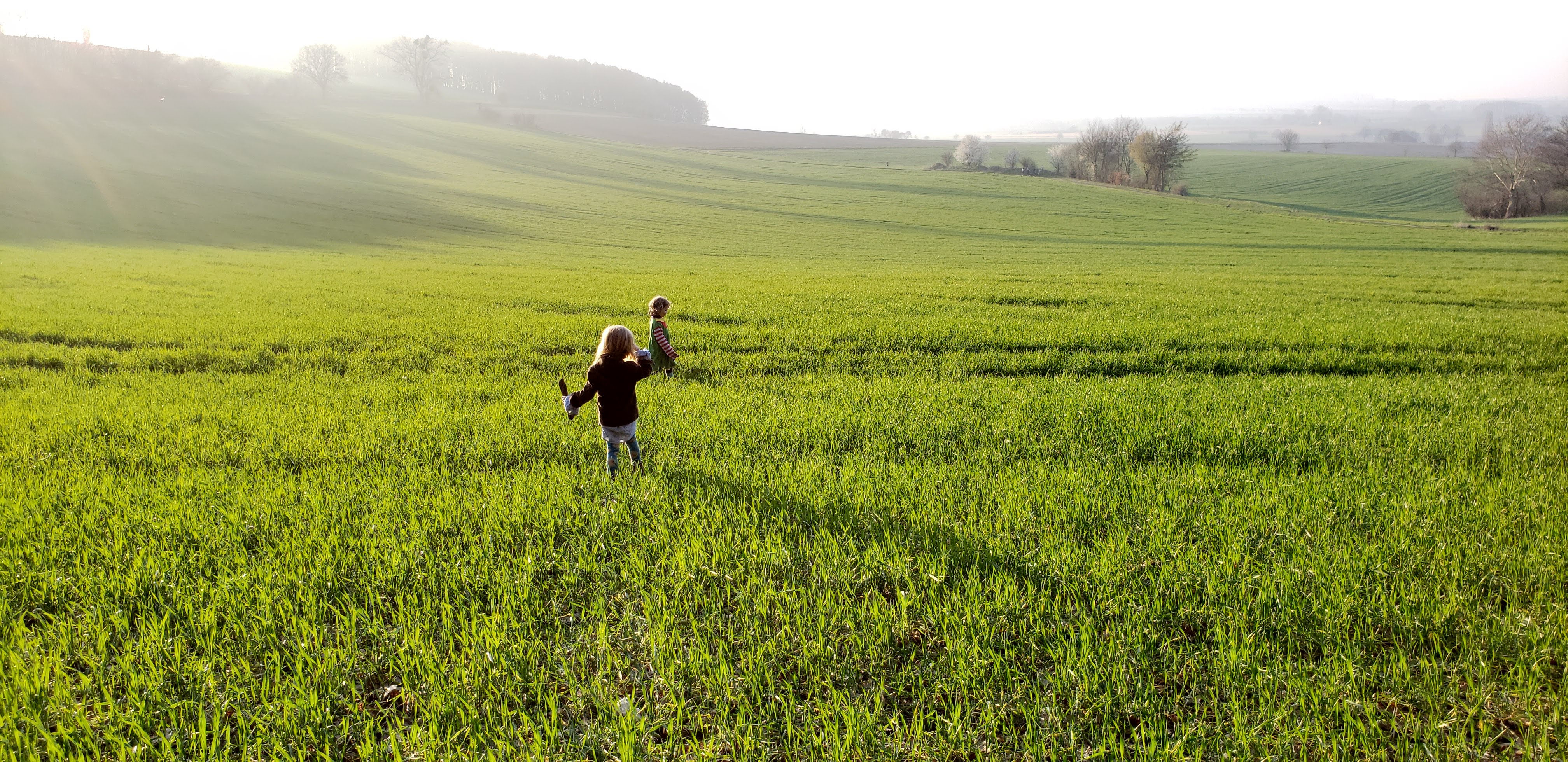 Open landscape symbolizing grounded support and stability